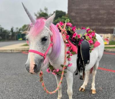 Unicorns